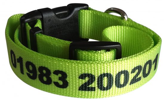 Personalised dog collar