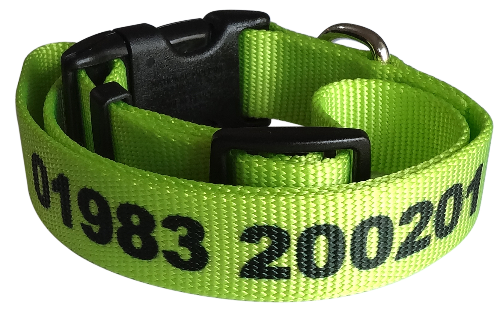 Personalised Dog Collars UK QUICK DELIVERY from a UK supplier!