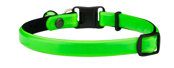 Light up online cat collar uk