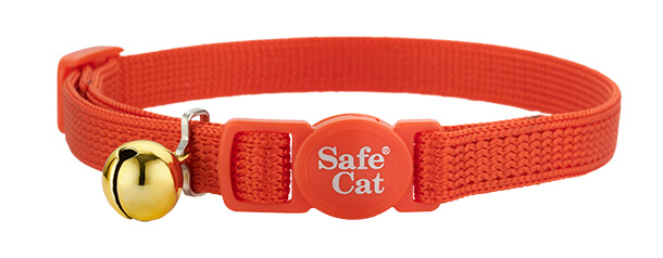 pumpkin soft cat collar