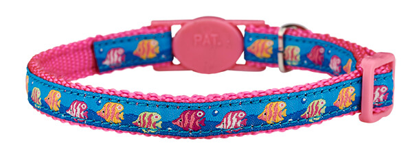 back of collar back of collar