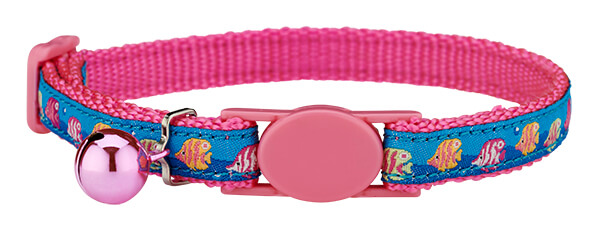 tropical fish cat collar tropical fish cat collar