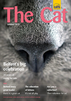 The Cat magazine from Cats Protection