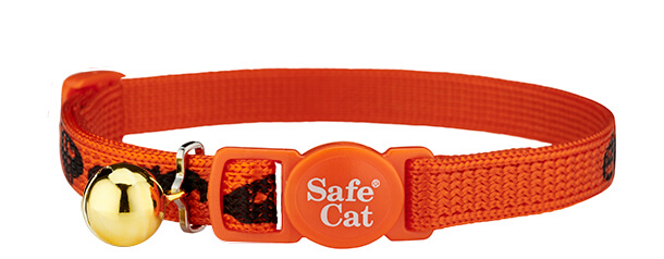 world's biggest scaredy cat halloween cat collar