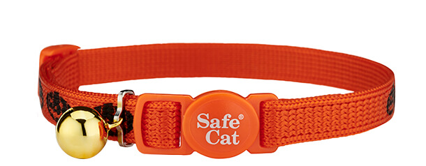 spooky pumpkins halloween cat collar