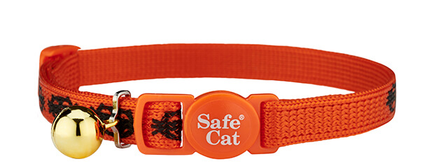 show me the treat first halloween cat collar